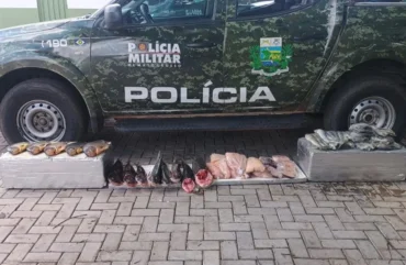 PM apreende 52 kg de pescado irregular em Várzea Grande