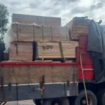 Batalhão Ambiental apreende caminhão com madeira irregular em Várzea Grande