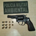 Porte ilegal de arma de fogo leva à prisão em Leverger