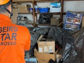 Captura de jiboia em almoxarifado mobiliza bombeiros