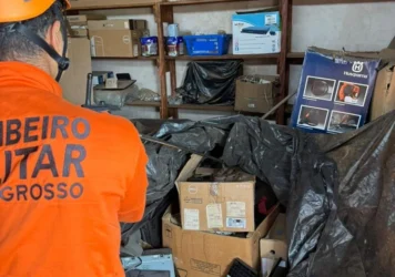 Captura de jiboia em almoxarifado mobiliza bombeiros