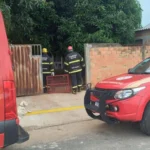 Bombeiros resgatam onça-parda em lavanderia em Nova Xavantina