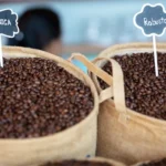 Preços do café oscilam com força em novembro, mas dentro de patamar do mês anterior