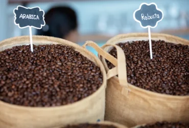 Preços do café oscilam com força em novembro, mas dentro de patamar do mês anterior