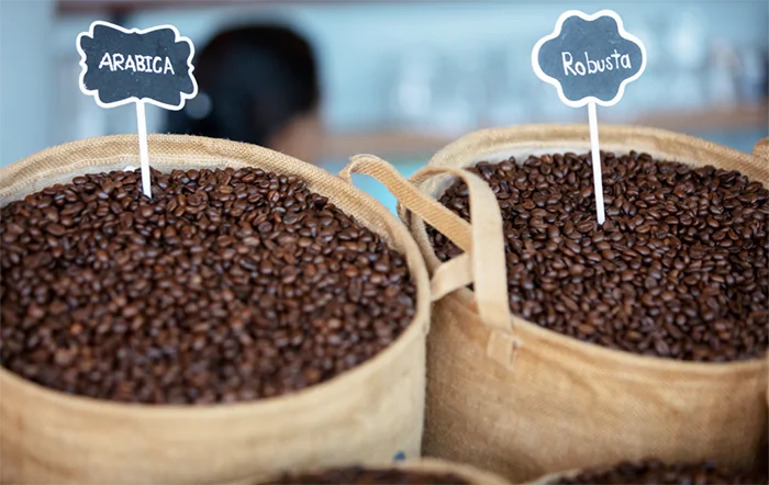 Preços do café oscilam com força em novembro, mas dentro de patamar do mês anterior