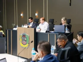 Decisão foi tomada após divergências entre versão original, substitutivo do Executivo e emenda parlamentar.