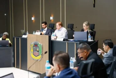 Decisão foi tomada após divergências entre versão original, substitutivo do Executivo e emenda parlamentar.