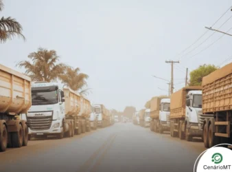 Caminhões carregados com grãos em estrada rural de Lucas do Rio Verde, simbolizando escoamento e logística da safra