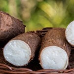 Chuvas limitam colheita, mas excesso de oferta pressiona preços da mandioca