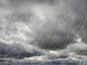 Chuvas na primeira quinzena de dezembro favorecem desenvolvimento das culturas de primeira safra, aponta Boletim a Conab