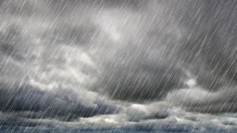 Chuvas na primeira quinzena de dezembro favorecem desenvolvimento das culturas de primeira safra, aponta Boletim a Conab