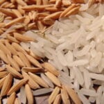 Com expectativa positiva para leilões, preços do arroz sobem