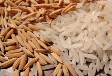Com expectativa positiva para leilões, preços do arroz sobem