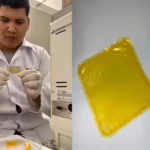 UFMT cria embalagem biodegradável de óleo de pequi