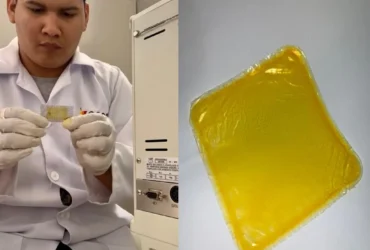 UFMT cria embalagem biodegradável de óleo de pequi