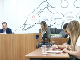 Comissão debate projetos de proteção à mulher na ALMT