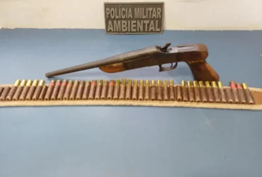 Ambiental prende homem com arma em Sinop