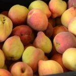 Conab anuncia R$ 4 milhões para compra de pêssego de produtores gaúchos