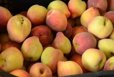 Conab anuncia R$ 4 milhões para compra de pêssego de produtores gaúchos