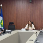 Conselho valida ações do Desenvolve Floresta em Alto Araguaia