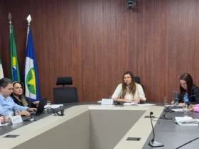 Conselho valida ações do Desenvolve Floresta em Alto Araguaia