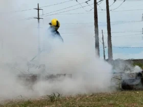 Teste de sensor que detecta incêndios avança em MT