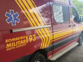 Corpo de Bombeiros socorre vítima de picada de jararaca em Sorriso