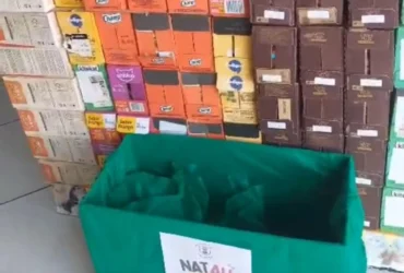 Com mais de 50 voluntárias, iniciativa liderada por Fátima Goulart busca apoio da população para atender a crescente demanda de animais abandonados no município.