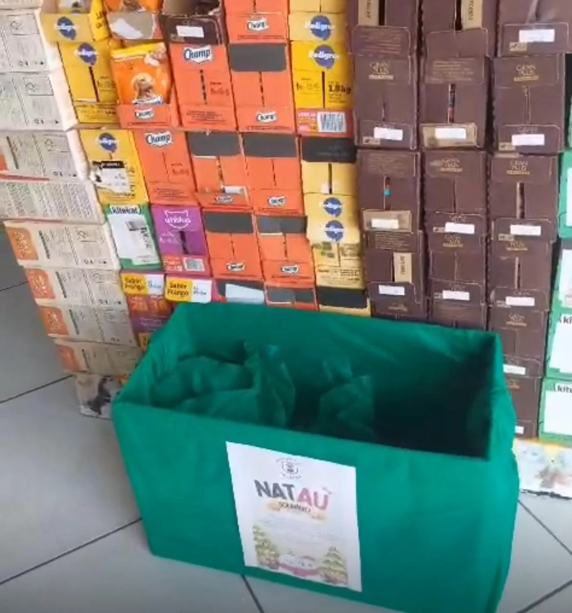 Com mais de 50 voluntárias, iniciativa liderada por Fátima Goulart busca apoio da população para atender a crescente demanda de animais abandonados no município.