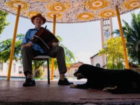 O Menino e a Sanfona estreia online com acessibilidade