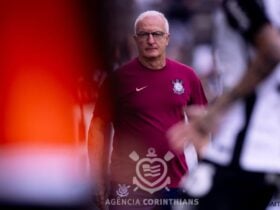 Treinador destaca dificuldades enfrentadas ao longo da temporada e diz que pressão externa não altera seu foco no projeto