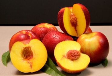 Embrapa lança nova nectarina, de vermelho intenso, para ciclo médio de produção