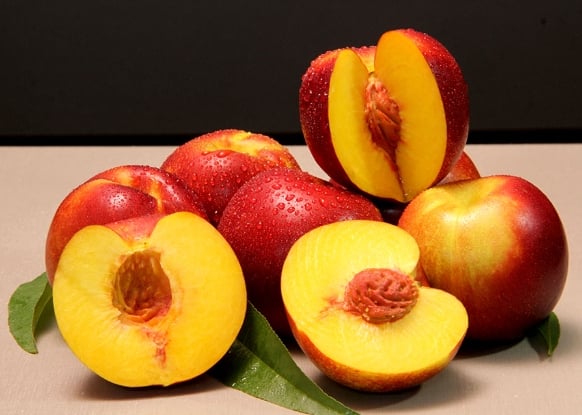 Embrapa lança nova nectarina, de vermelho intenso, para ciclo médio de produção