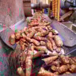 Esmagamento de mandioca tem forte queda; preços caem menos