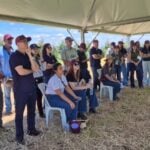 Especialistas discutem estratégias para a agropecuária do futuro