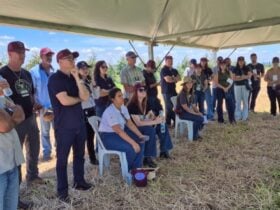Especialistas discutem estratégias para a agropecuária do futuro