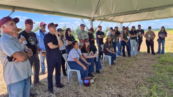 Especialistas discutem estratégias para a agropecuária do futuro