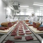 Exportações de carne de MT disparam e crescem 23,8%