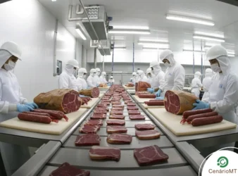 Exportações de carne de MT disparam e crescem 23,8%