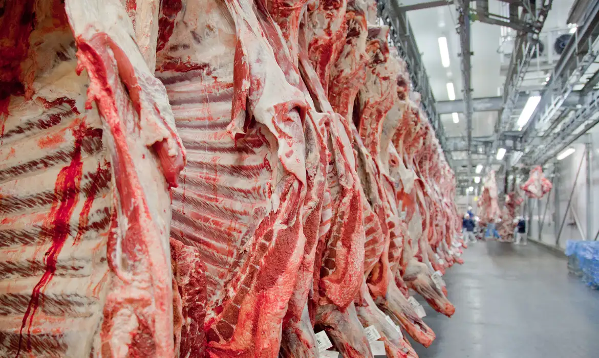 Exportações de carnes de MT crescem 43,12% e ultrapassam US$ 3,8 bilhões em 2025