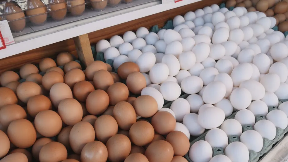 Exportações de ovos mantém alta de 5,8% em novembro