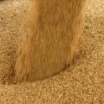 Farelo de soja se recupera no fim de 2025 com recomposição de estoques e oferta restrita