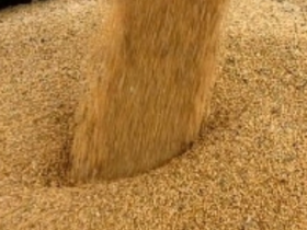 Farelo de soja se recupera no fim de 2025 com recomposição de estoques e oferta restrita