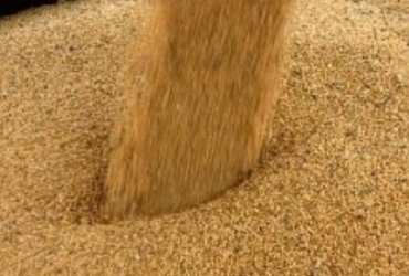 Farelo de soja se recupera no fim de 2025 com recomposição de estoques e oferta restrita