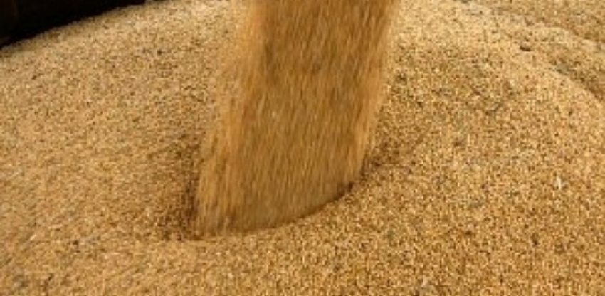 Farelo de soja se recupera no fim de 2025 com recomposição de estoques e oferta restrita