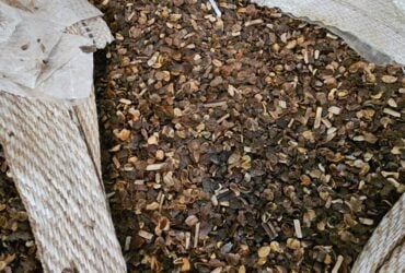 Fiscalização apreende mais de 21 toneladas de café irregular em compras públicas no Paraná