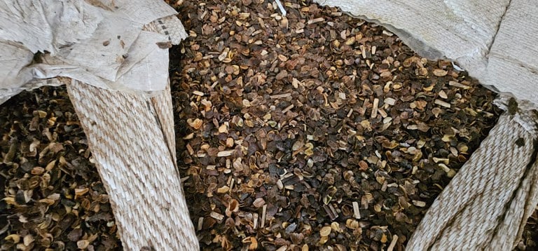 Fiscalização apreende mais de 21 toneladas de café irregular em compras públicas no Paraná