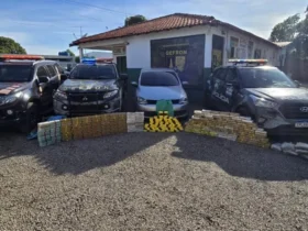 Apreensão de drogas em Cáceres mobiliza forças de segurança