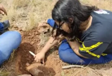 Fosseis de dinossauros em Chapada dos Guimaraes aproximam estudantes da pesquisa cientifica -CenárioMT