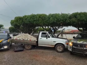 Gefron e PRF interceptam cocaína apreendida em Cáceres